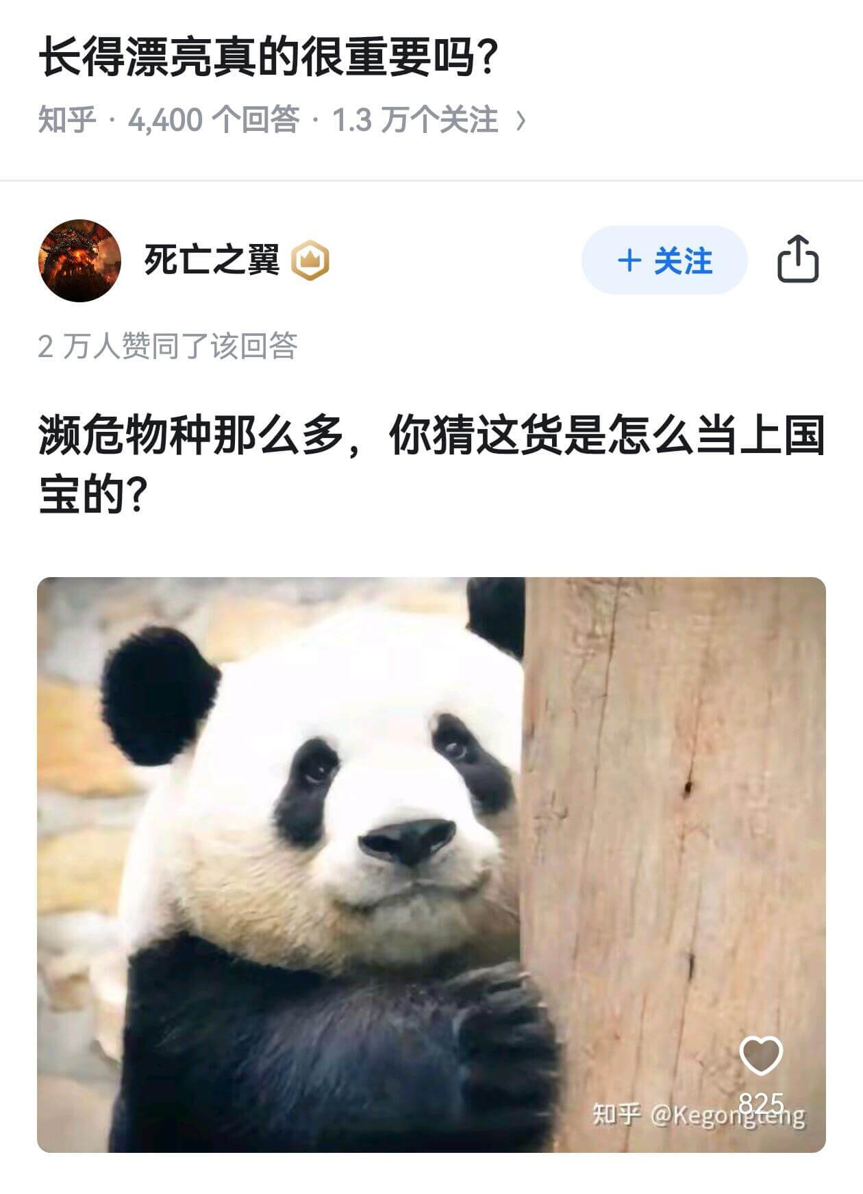 长得漂亮真的很重要吗？知乎·4,400个回答·1.3万个关注