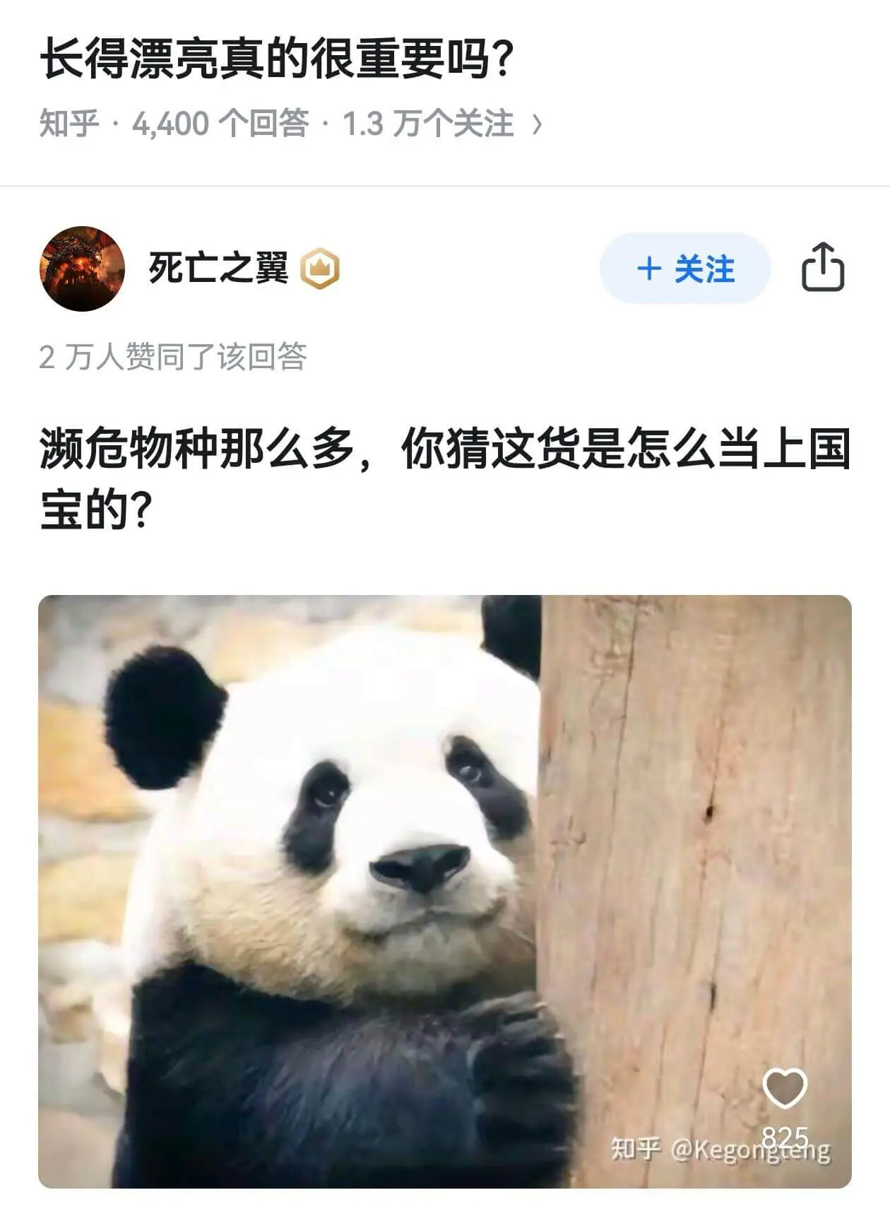 长得漂亮真的很重要吗？知乎·4,400个回答·1.3万个关注
