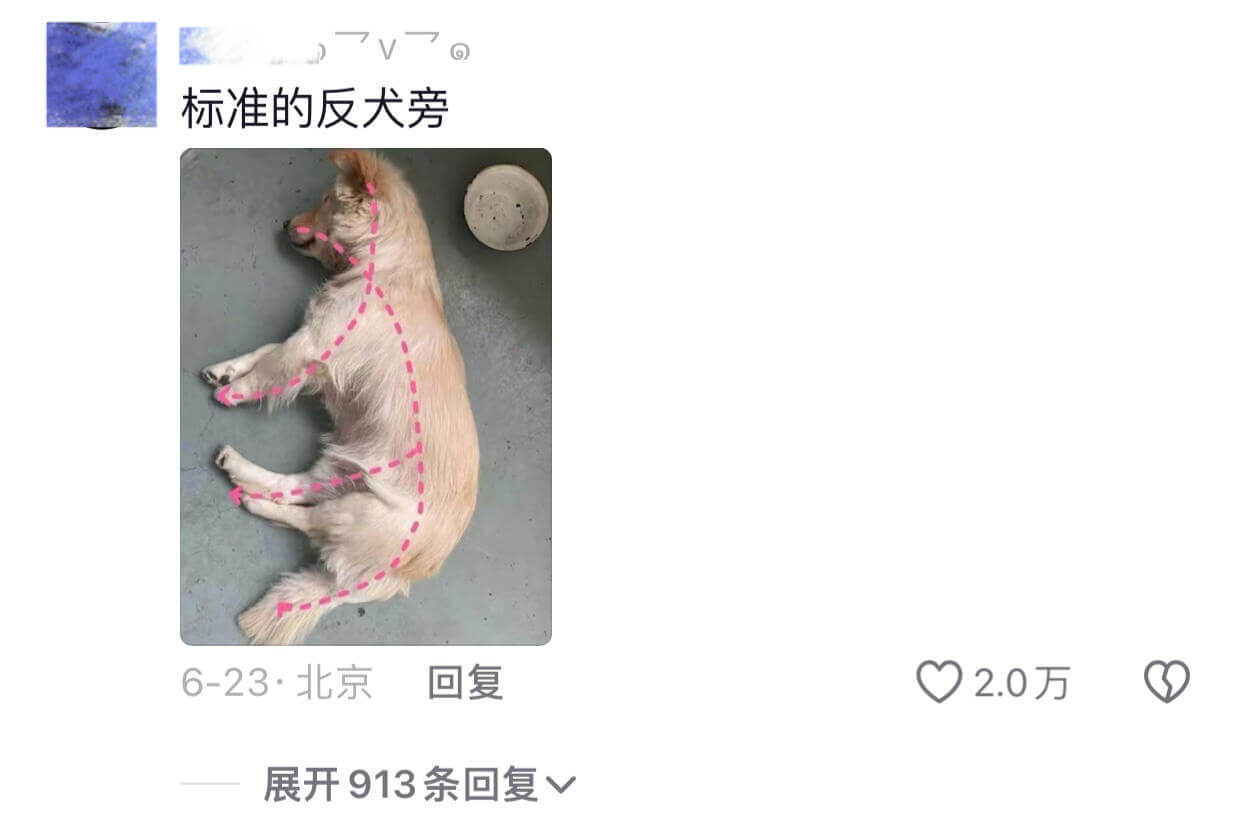 标准的反犬旁6-23·北京回复2.0万