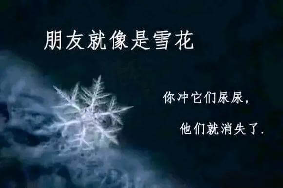朋友就像是雪花你冲它们尿尿他们就消失了