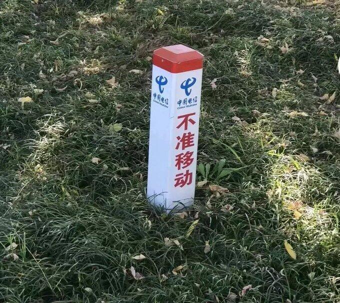 中国电信中国电信不准移动