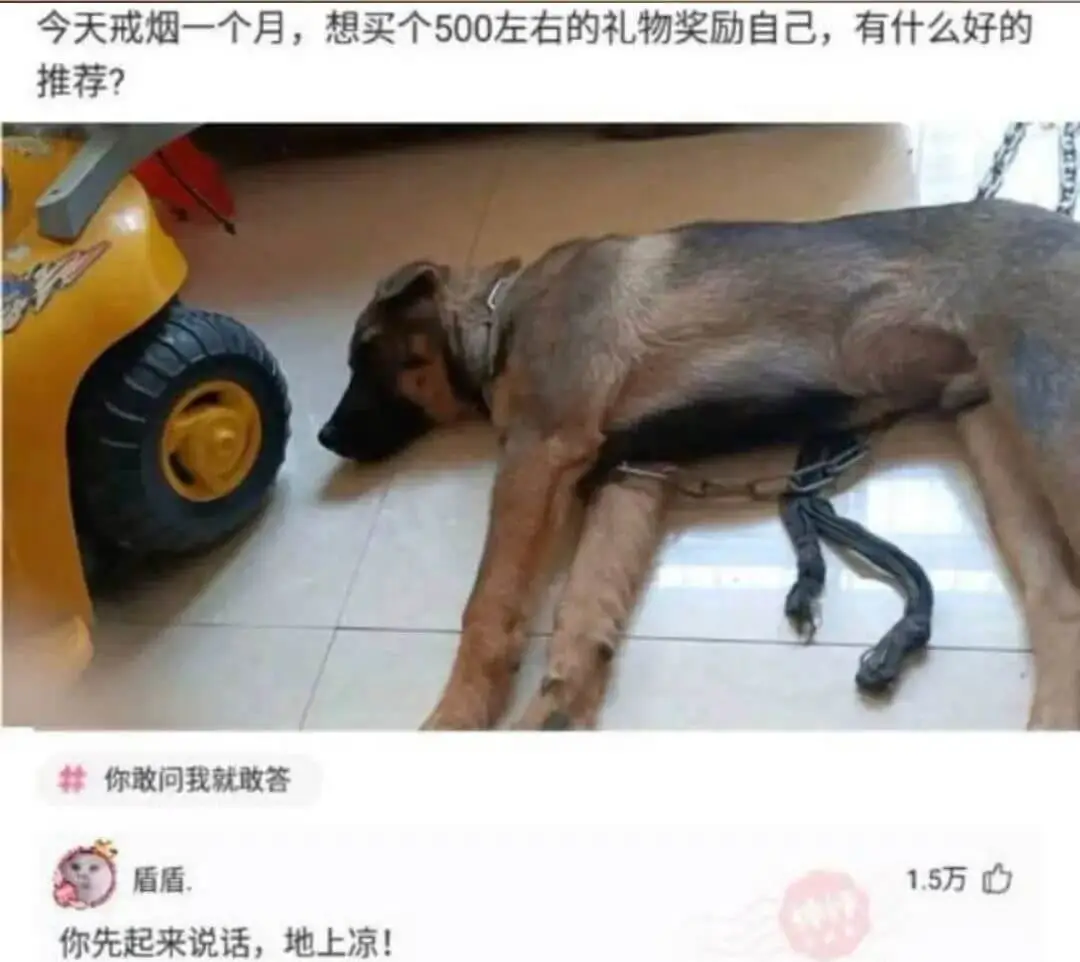 今天戒烟一个月，想买个500左右的礼物奖励自己，有什么好的推