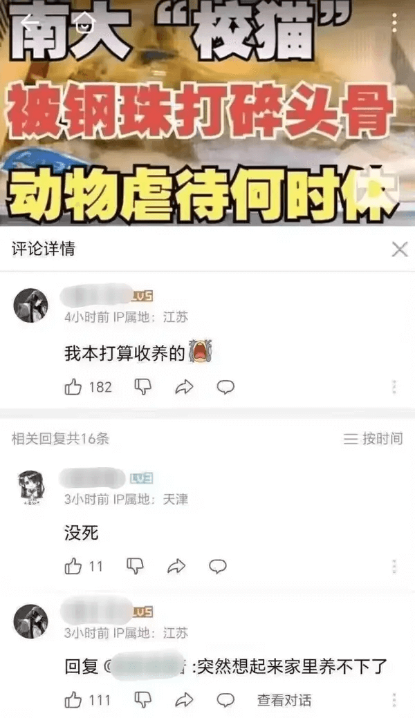 南大校猫被钢珠打碎头骨动物虐待何时休评论详情LUS4小时前I