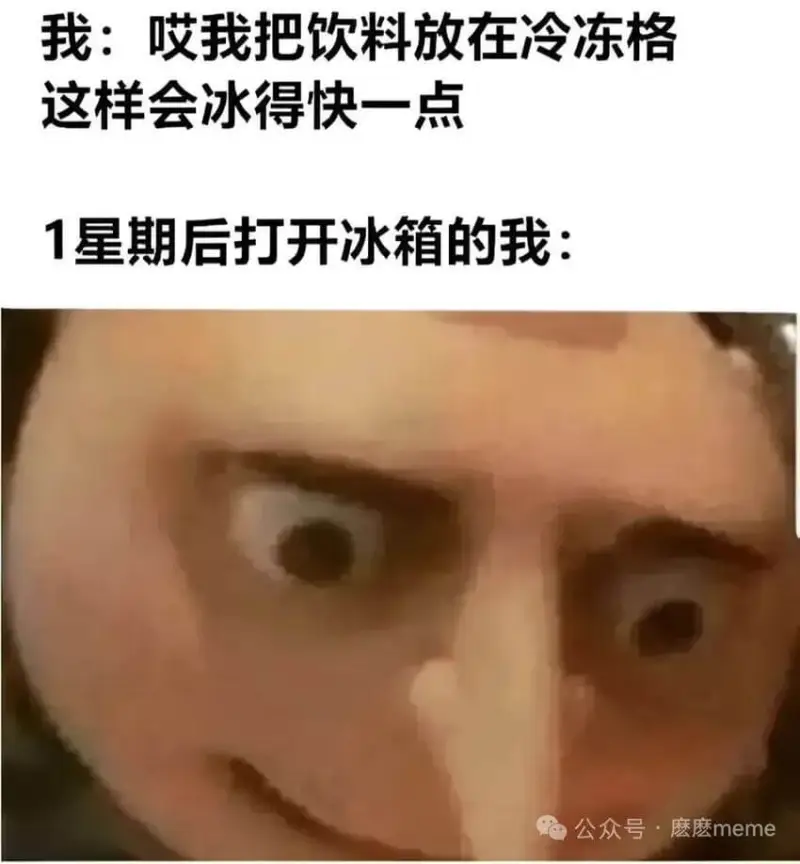 我：哎我把饮料放在冷冻格这样会冰得快一点1星期后打开冰箱的我