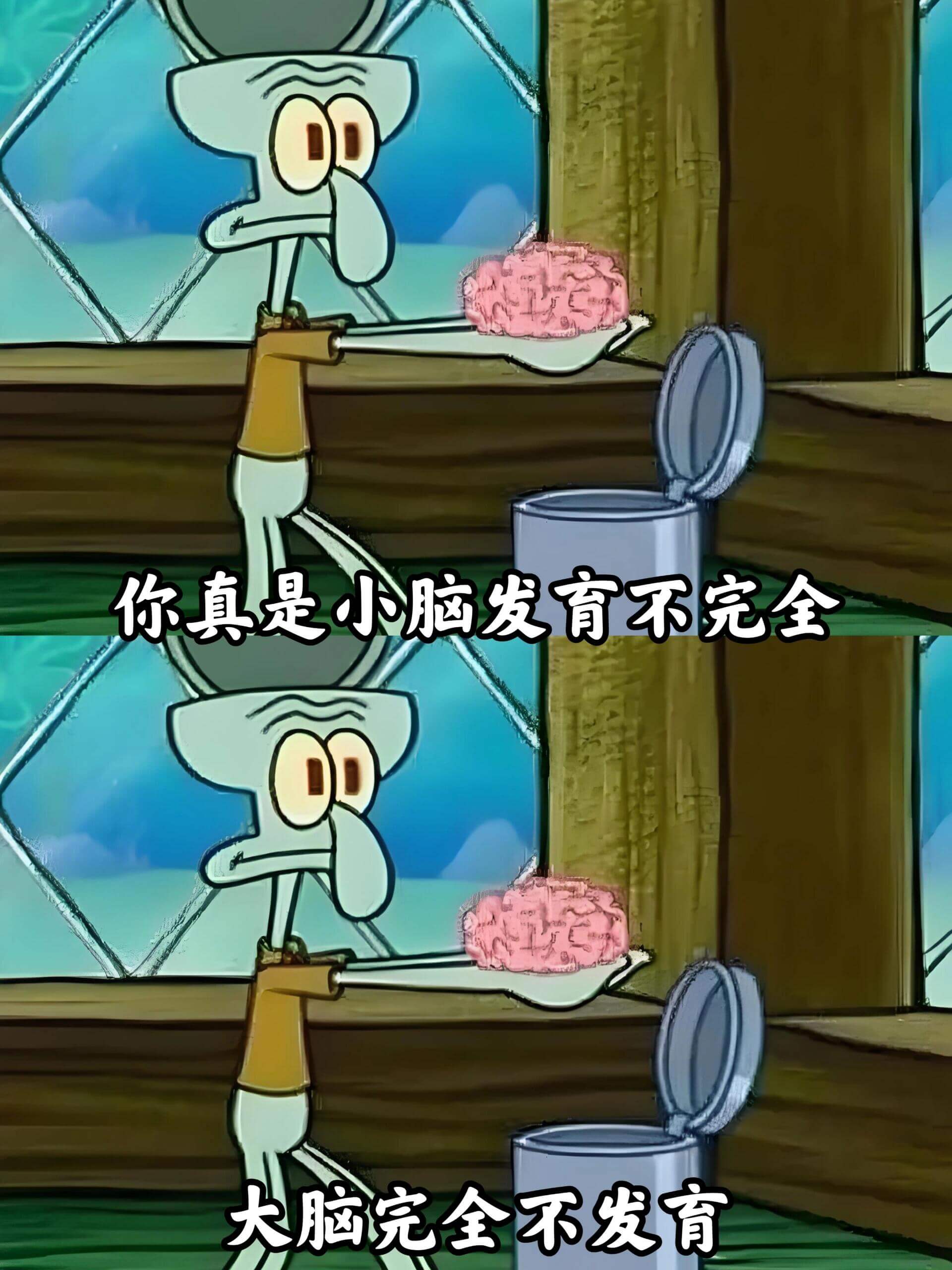 你真是小脑发育不完全大脑完全不发育