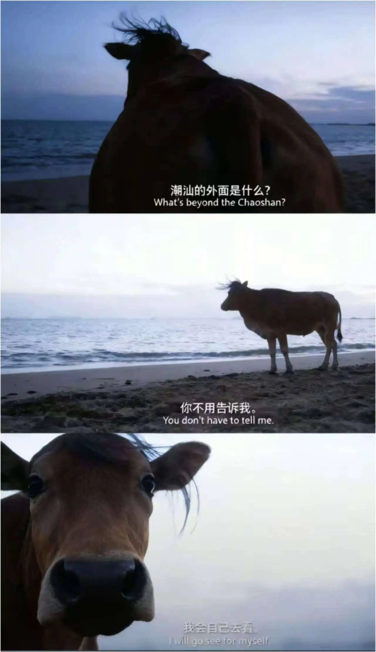 潮汕的外面是什么?WhatsbeyondtheChaosha