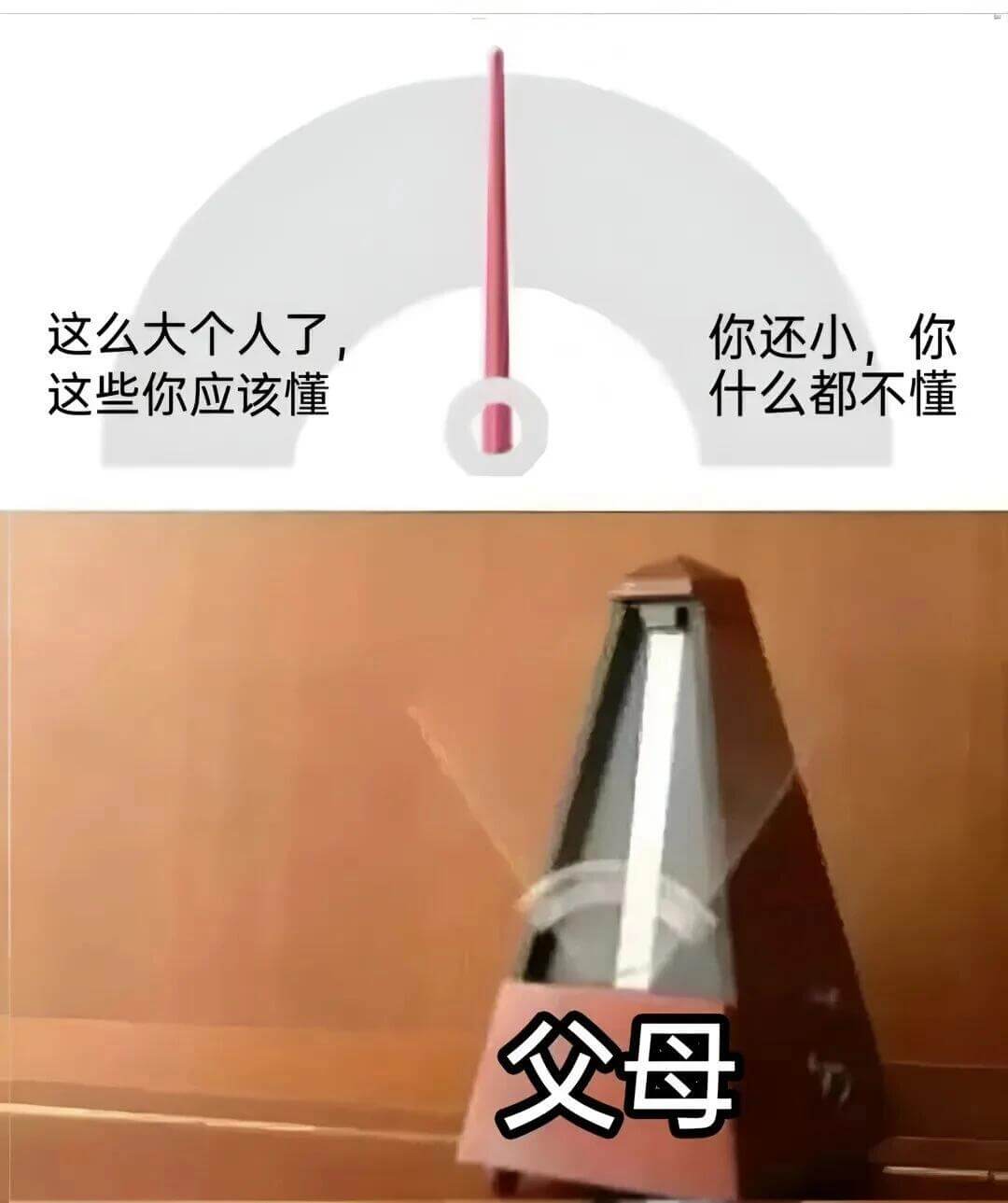 这么大个人了，这些你应该懂。你还小，你什么都不懂。父母