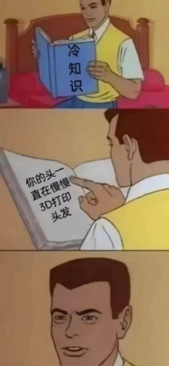 冷知识你的头一直在慢慢3D打印头发