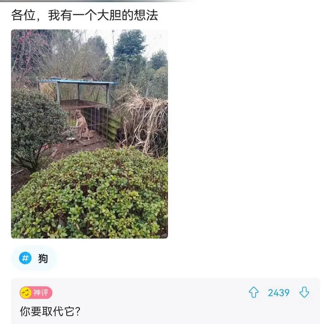 各位，我有一个大胆的想法狗神评：你要取代它？2439