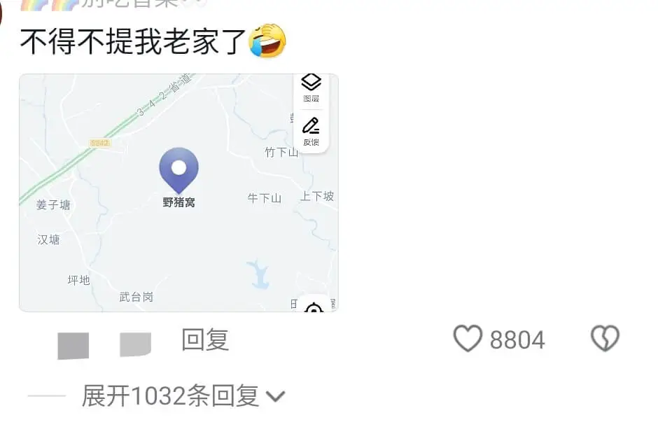 不得不提我老家了图层反馈竹下山野猪窝牛下山上下坡姜子塘汉塘坪