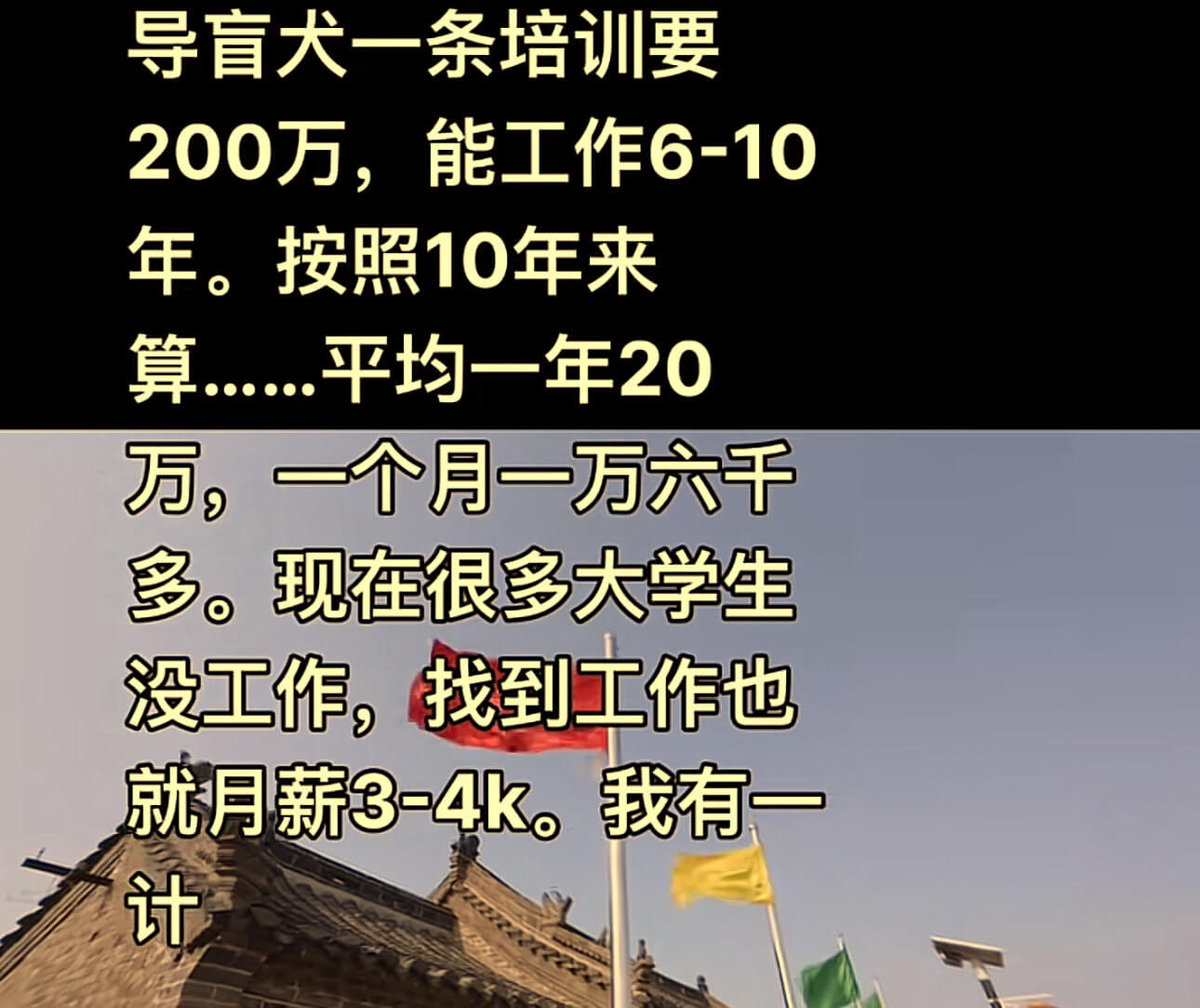 导盲犬一条培训要200万，能工作6-10年。按照10年来算平