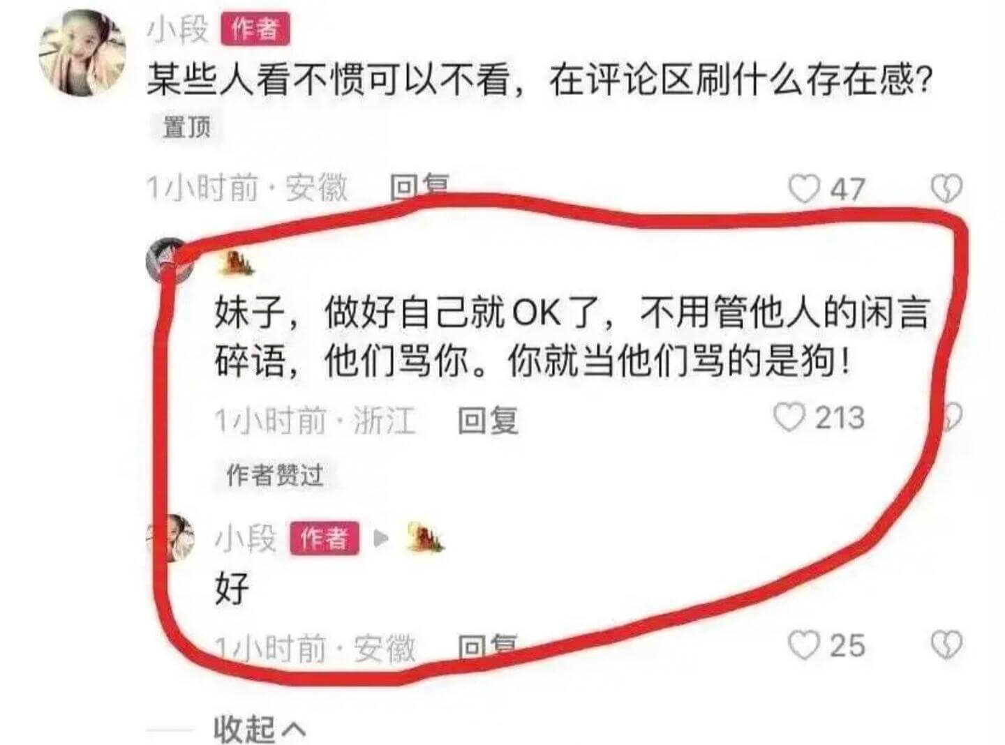 小段作者某些人看不惯可以不看，在评论区刷什么存在感？置顶1小