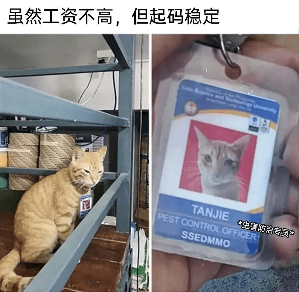 虽然工资不高,但起码稳定TANJIEPESTCONTROLO