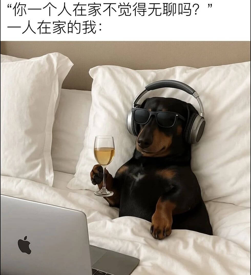 你一个人在家不觉得无聊吗？一人在家的我：