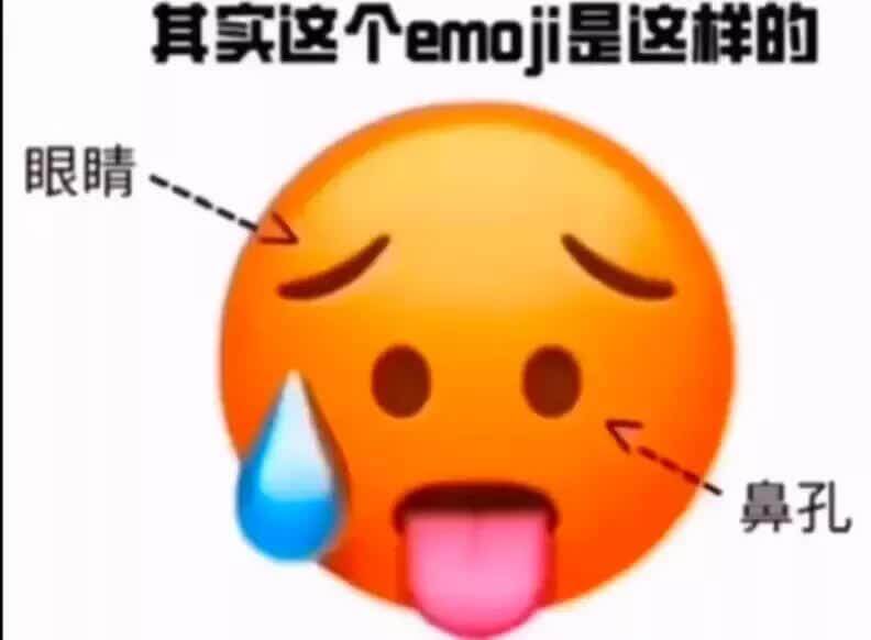 其实这个emoji是这样的眼睛鼻孔