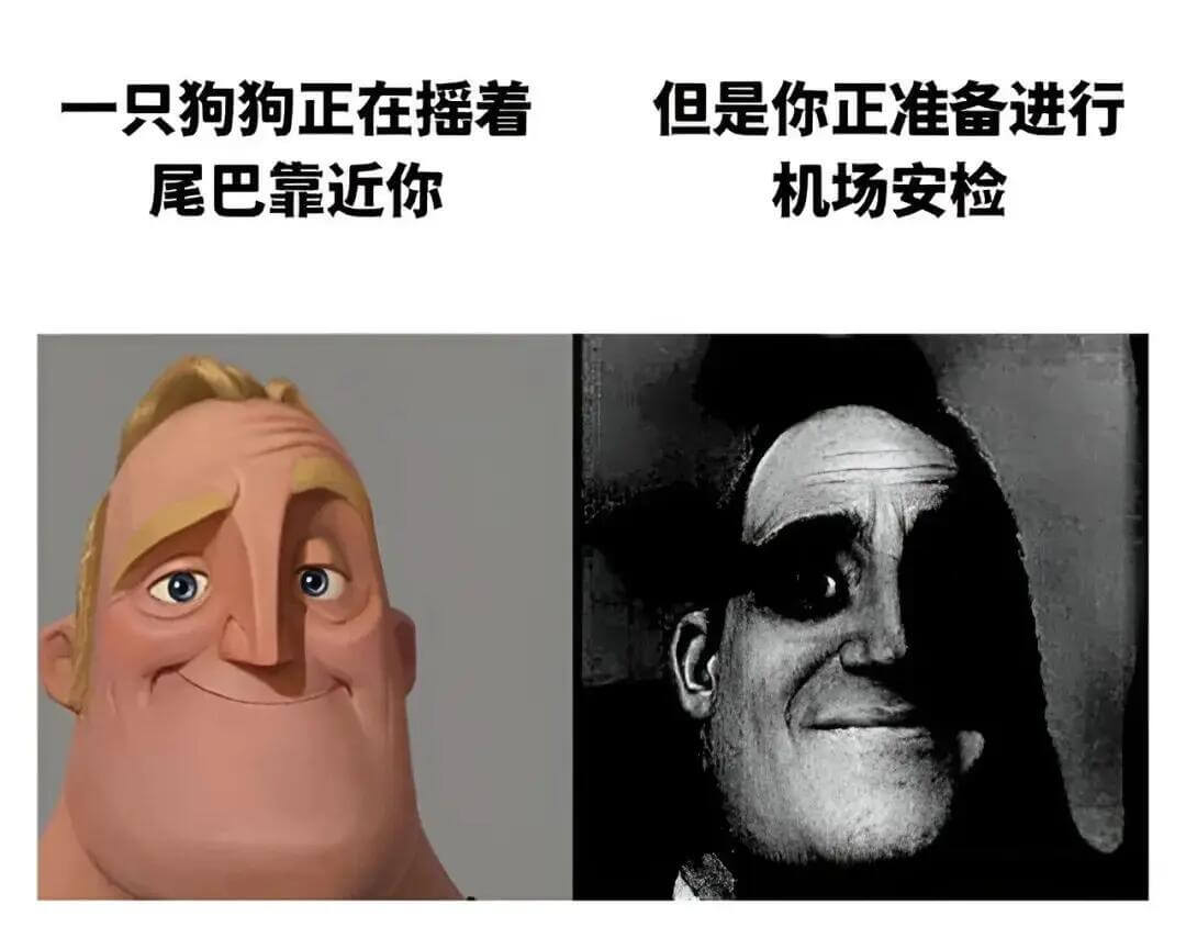 一只狗狗正在摇着尾巴靠近你但是你正准备进行机场安检