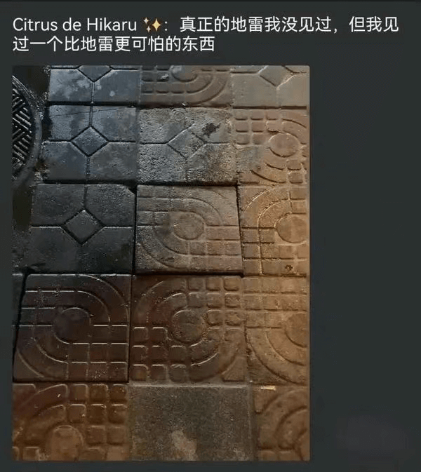 CitrusdeHikaru+：真正的地雷我没见过，但我见过