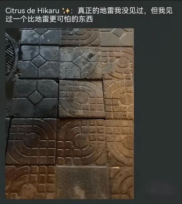 CitrusdeHikaru+：真正的地雷我没见过，但我见过