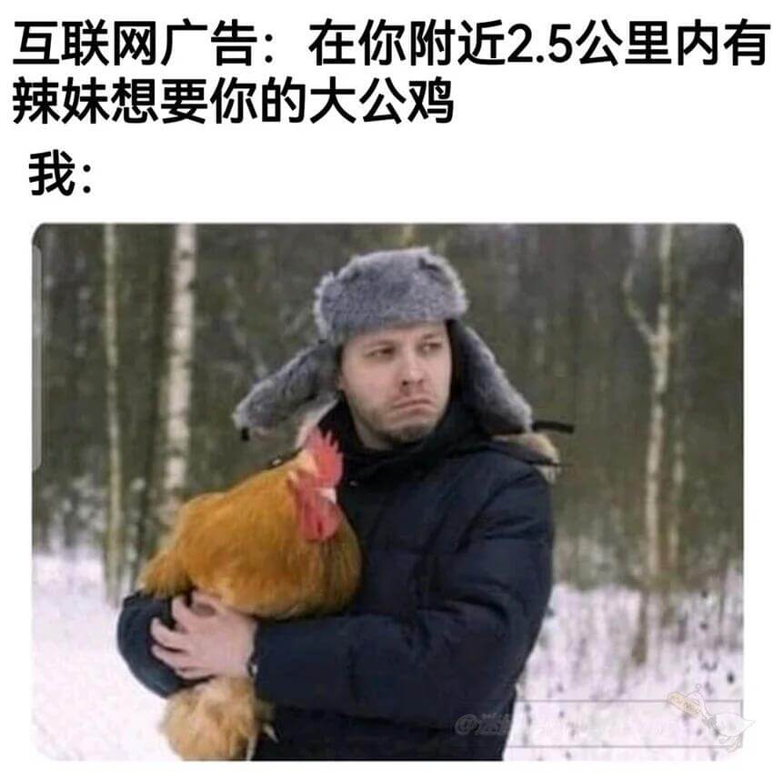 互联网广告：在你附近2.5公里内有辣妹想要你的大公鸡我：