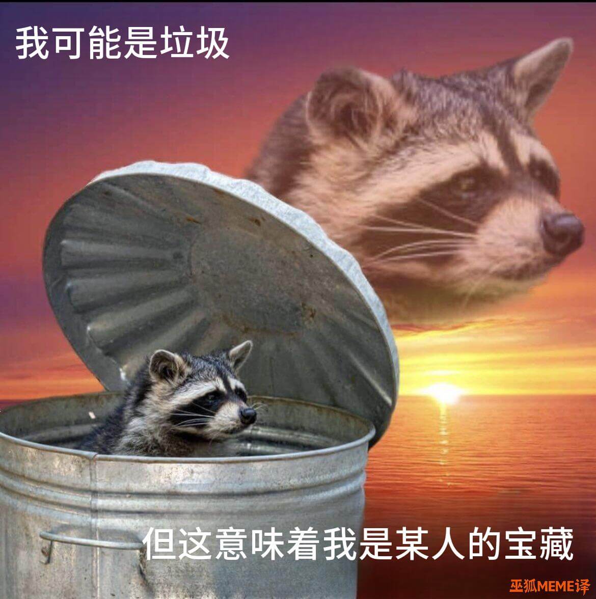 我可能是垃圾但这意味着我是某人的宝藏巫狐MEME译