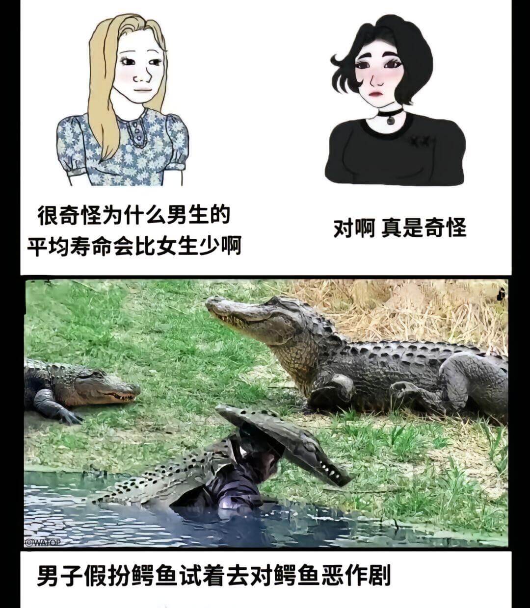 很奇怪为什么男生的平均寿命会比女生少啊对啊，真是奇怪男子假扮