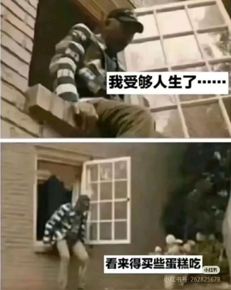 我受够人生了。看来得买些蛋糕吃。小红书小红书号:262825