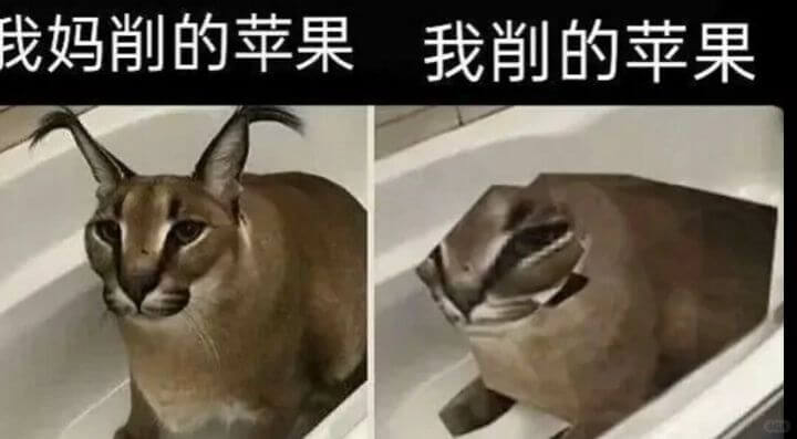 我妈削的苹果我削的苹果