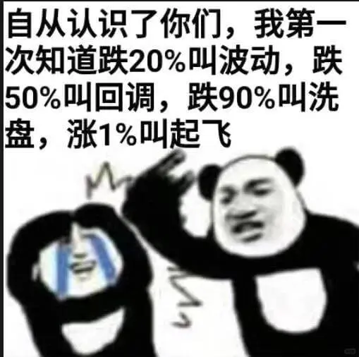 自从认识了你们，我第一次知道跌20%叫波动，跌50%叫回调，