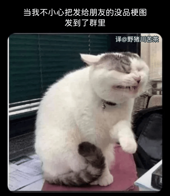 当我不小心把发给朋友的没品梗图发到了群里野猪川苦茶译@@