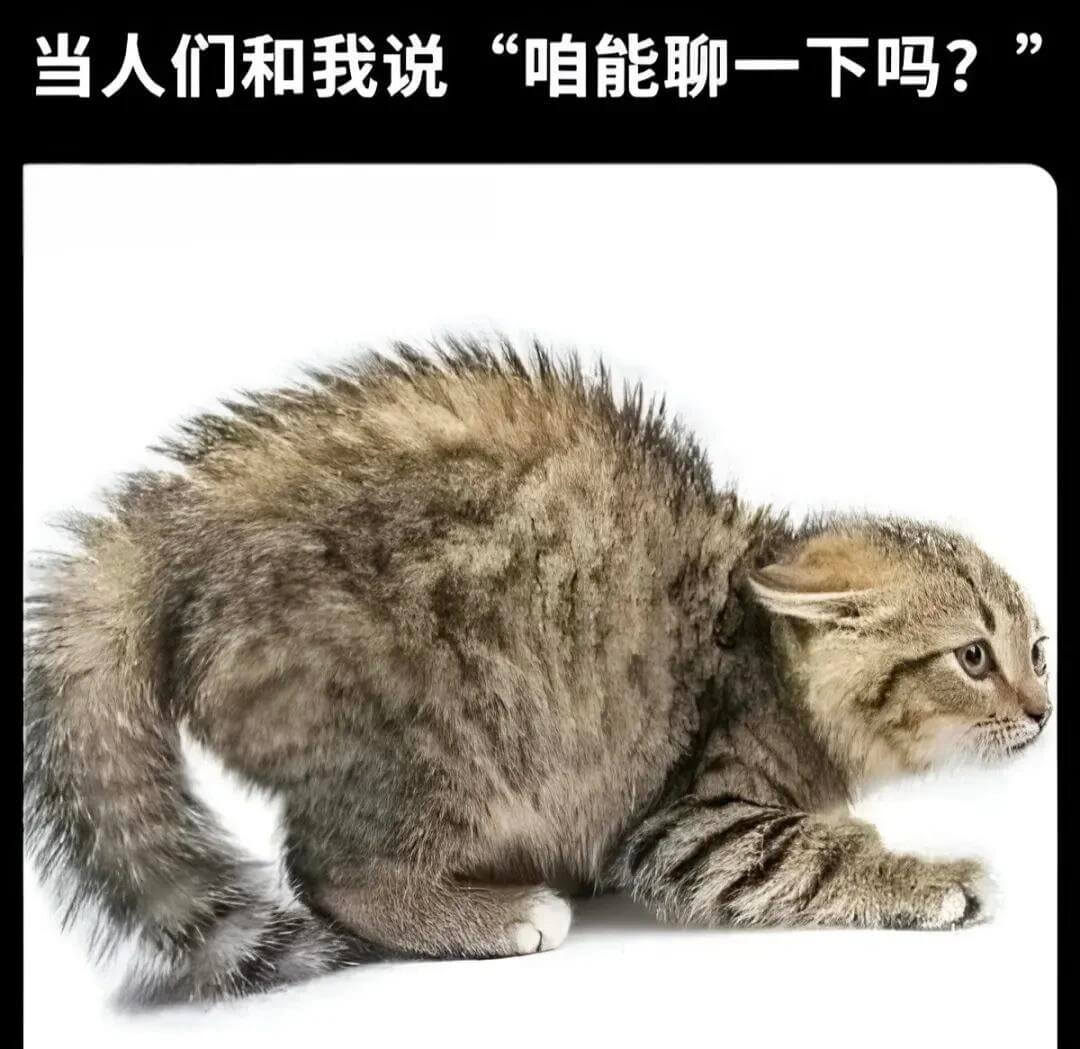 当人们和我说“咱能聊一下吗？