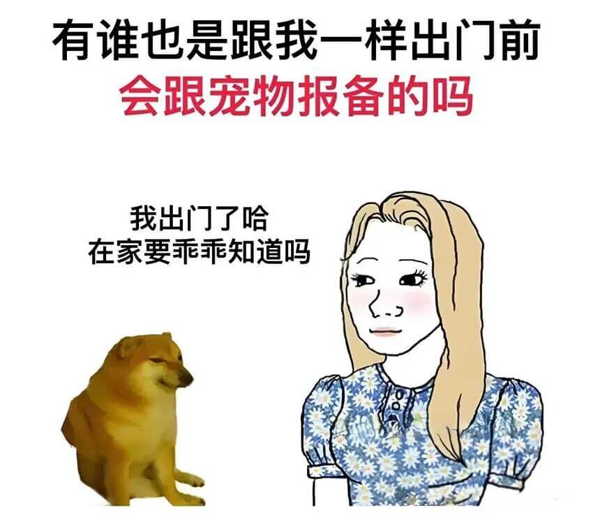 有谁也是跟我一样出门前会跟宠物报备的吗我出门了哈在家要乖乖知