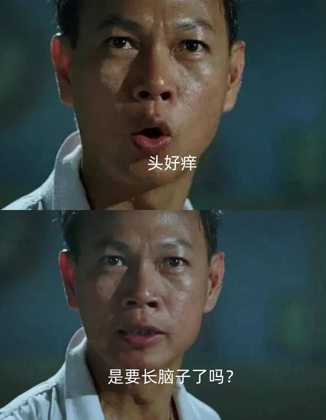 头好痒是要长脑子了吗？