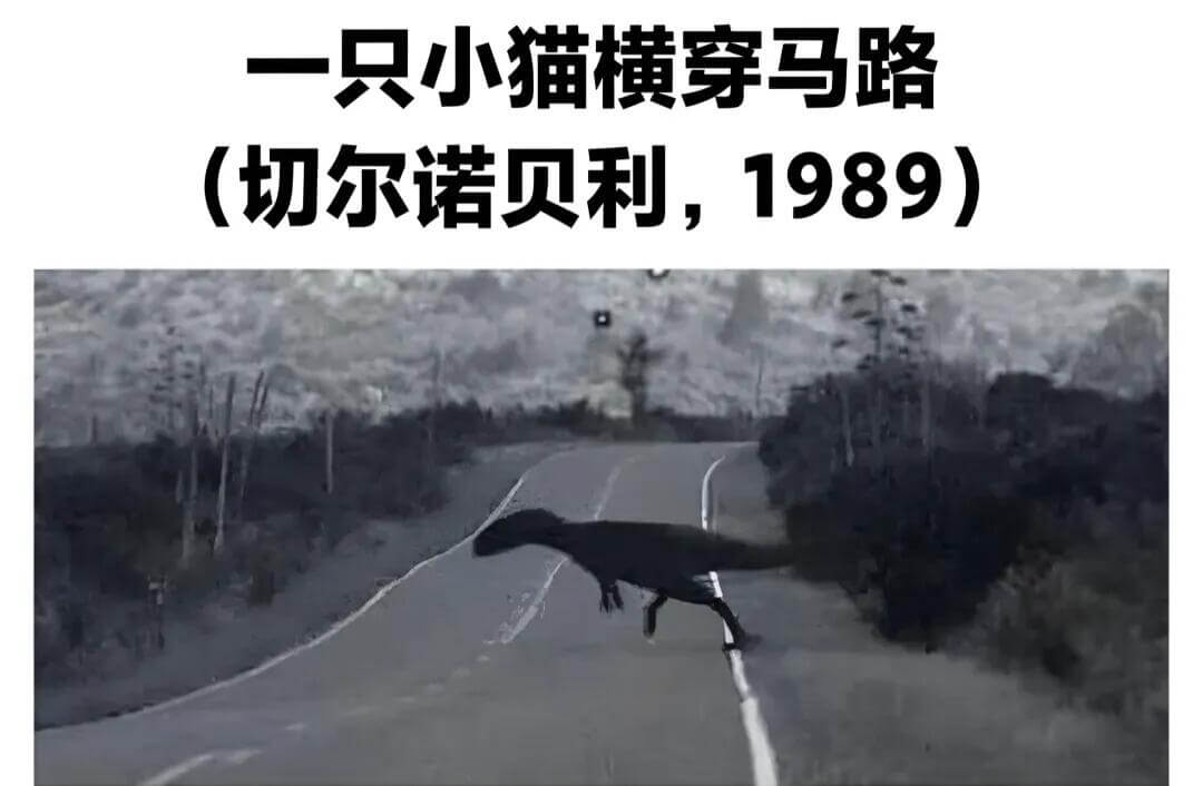 一只小猫横穿马路（切尔诺贝利，1989）
