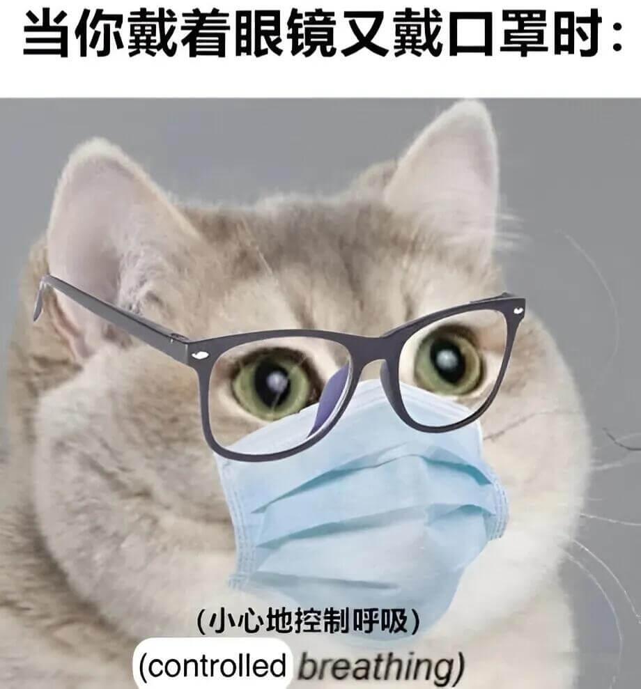 当你戴着眼镜又戴口罩时：（小心地控制呼吸）（controll