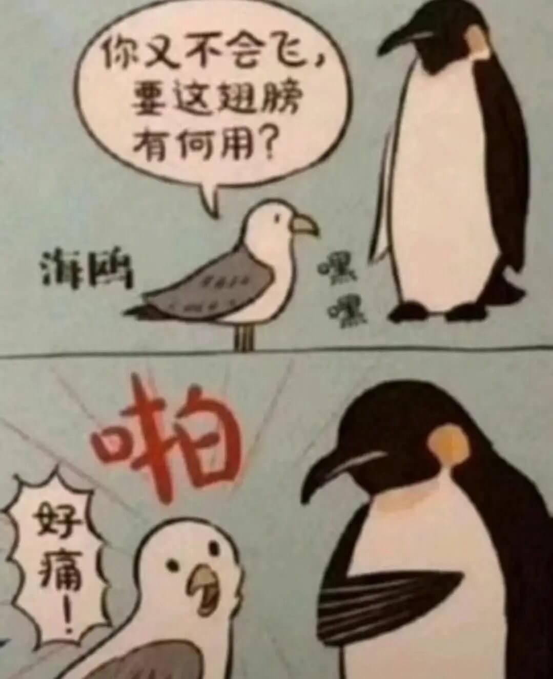 你又不会飞，要这翅膀有何用？海鸥啪！好痛。