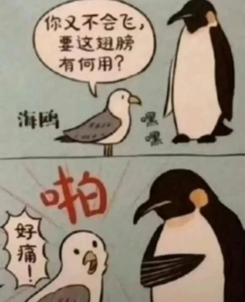 你又不会飞，要这翅膀有何用？海鸥啪！好痛。