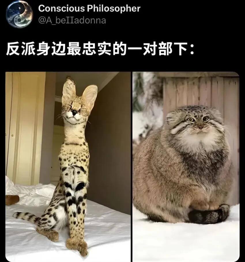 ConsciousPhilosopher@Abelladon