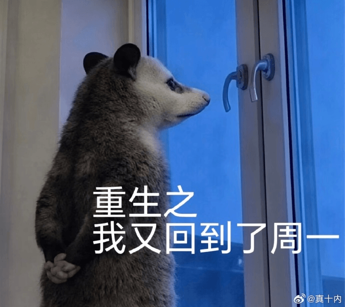 重生之我又回到了周一@真十内