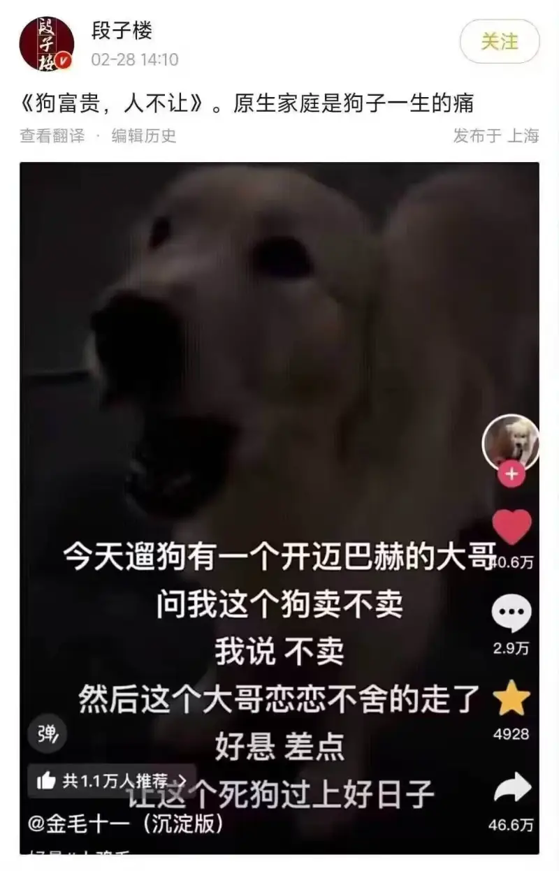 段子楼关注《狗富贵，人不让》。原生家庭是狗子一生的痛。查看翻