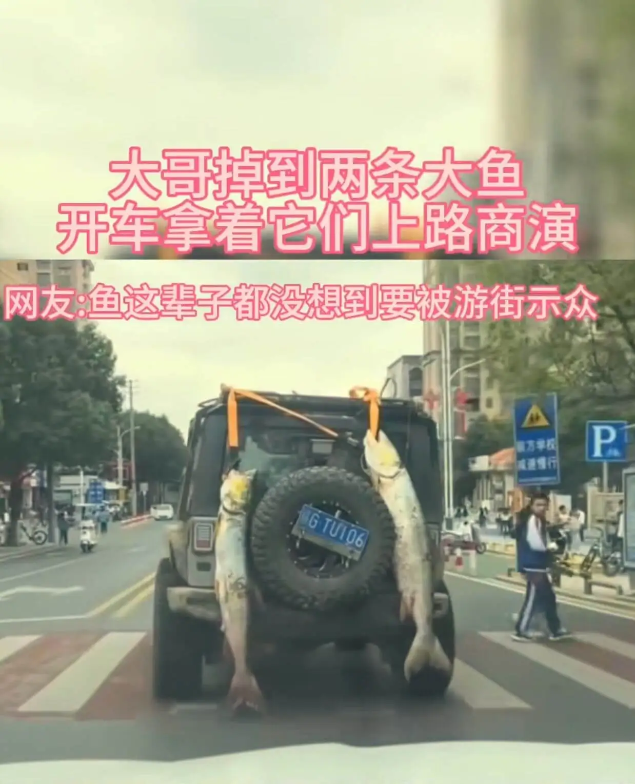 大哥掉到两条大鱼，开车拿着它们上路商演。网友：鱼这辈子都没想