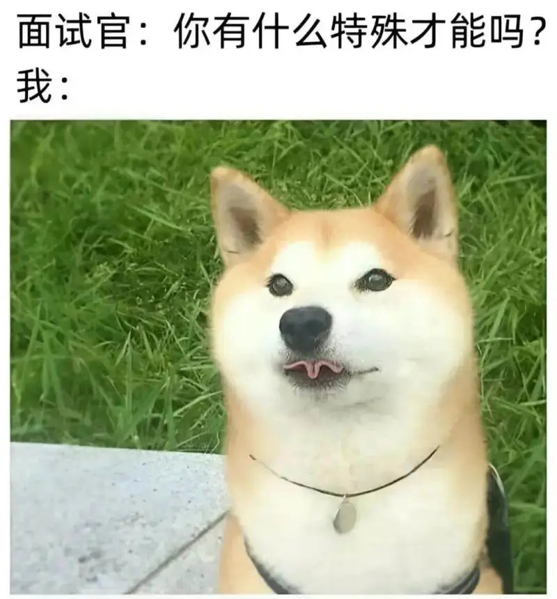 面试官：你有什么特殊才能吗？我：