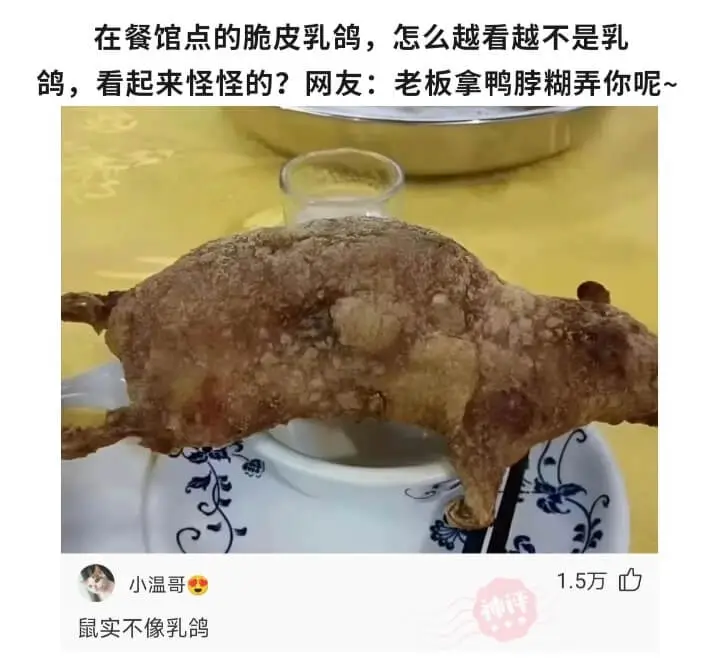 在餐馆点的脆皮乳鸽，怎么越看越不是乳鸽，看起来怪怪的?网友: