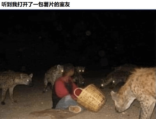 听到我打开了一包薯片的室友