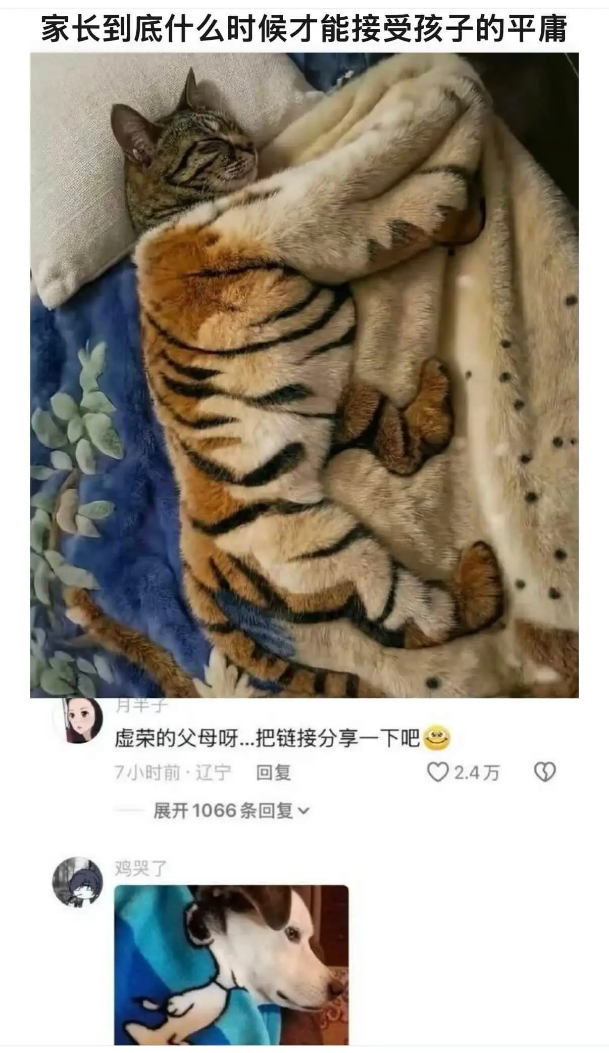 家长到底什么时候才能接受孩子的平庸？虚荣的父母呀，把链接分享