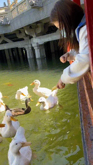鸭子：所以主动就会被钓对吗？
