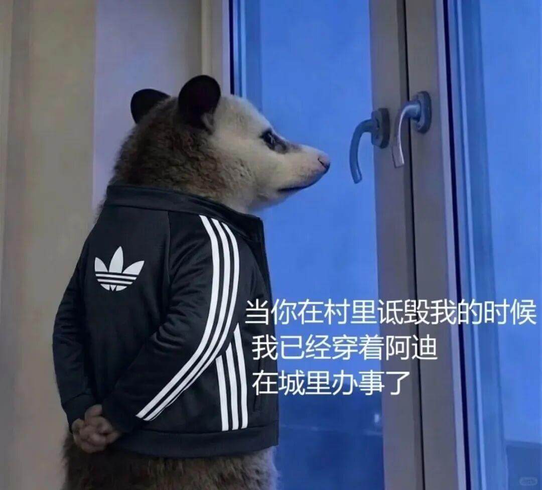 当你在村里诋毁我的时候，我已经穿着阿迪在城里办事了。