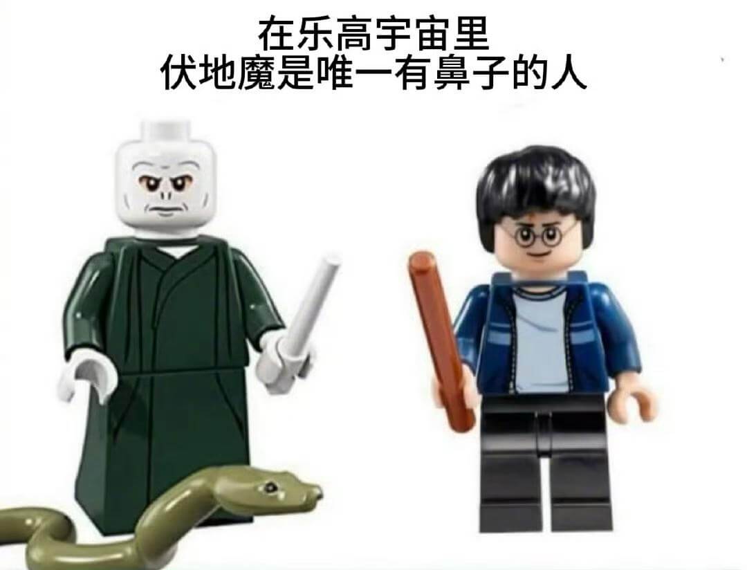 在乐高宇宙里，伏地魔是唯一有鼻子的人