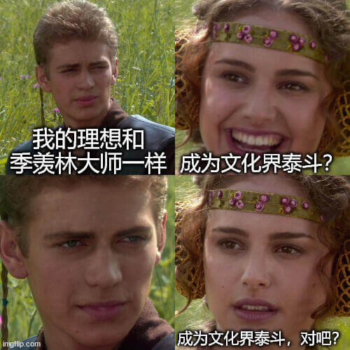 我的理想和季羡林大师一样，成为文化界泰斗。成为文化界泰斗，对