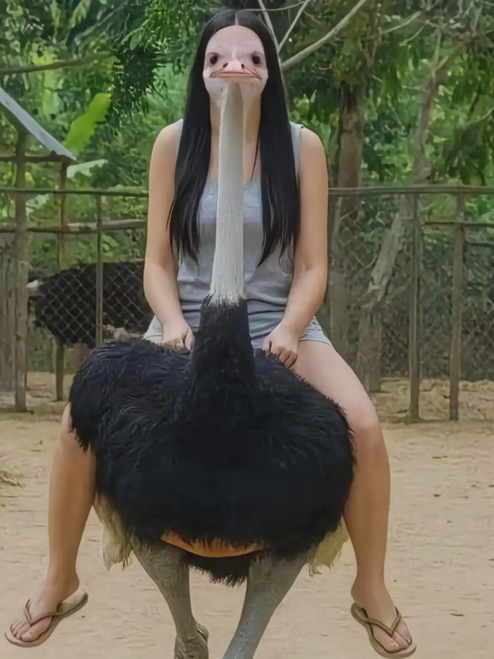 你们肯定觉得不好笑，谁懂我这狗屎笑点