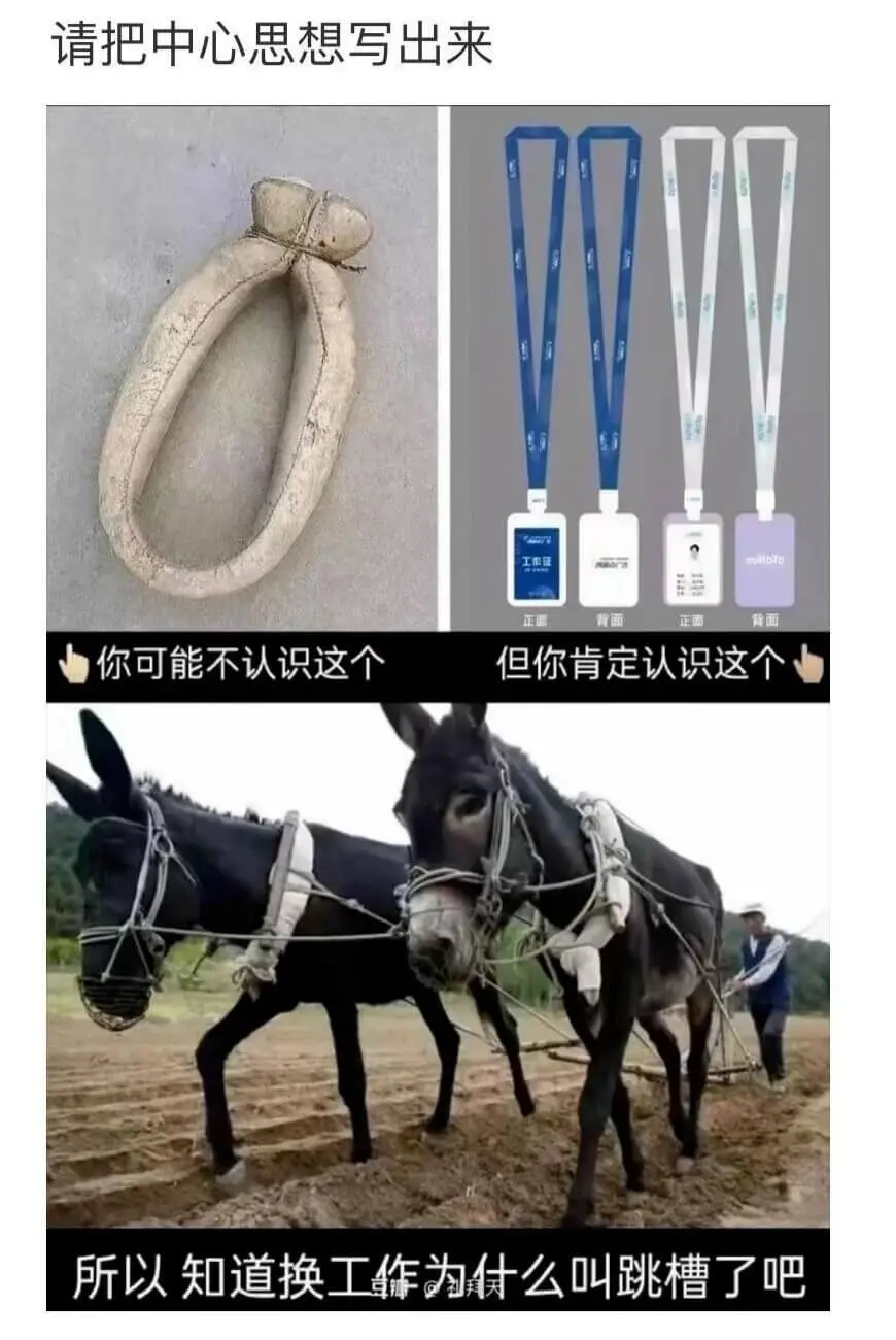 请把中心思想写出来工作链青面正面背面你可能不认识这个但你肯定